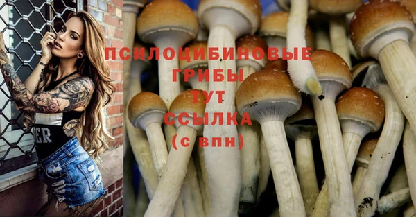 винт Касимов